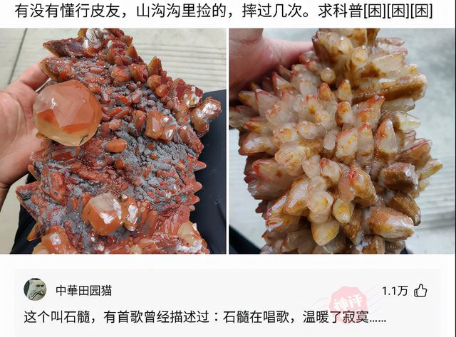 神回复,第一次洗脚,有什么需要注意的吗?评论真的秀 神回复,第一次洗脚,有什么需要注意的吗?评论真的秀