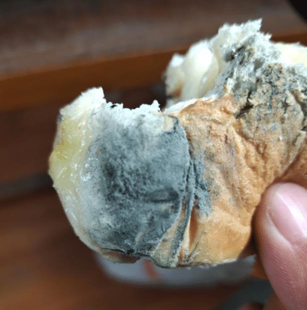 搞笑合集:这么多鞋,一定是个女孩 搞笑合集:这么多鞋,一定是个女孩