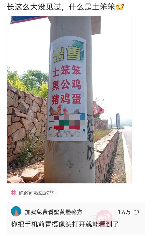 这个Q正常吗?神评:怎么,你这是q一下斧头插地上拔不出来了吗? 这个Q正常吗?神评:怎么,你这是q一下斧头插地上拔不出来了吗?