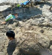 恶搞笑话：这个龟头不错