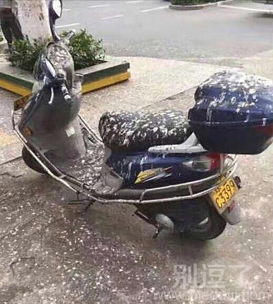 就想知道是谁干的