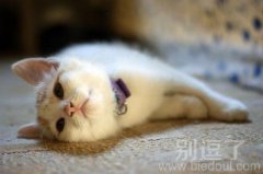 一想到明天周一，心情瞬间就沉重了