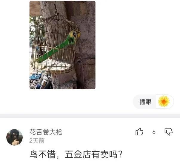 沙雕趣图34，笑不活了