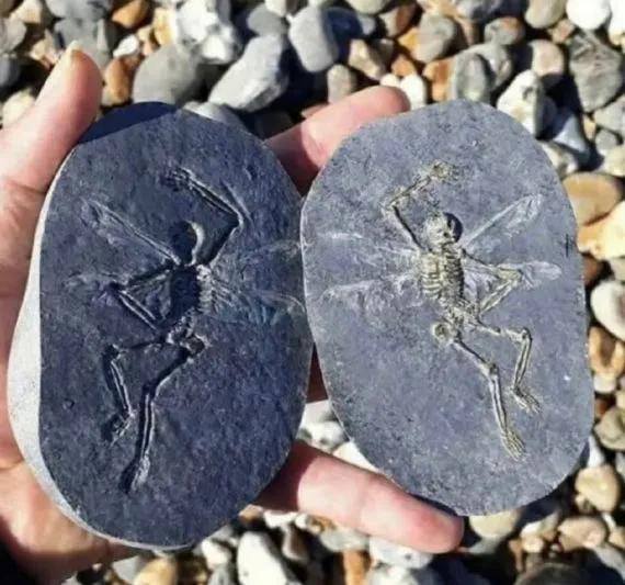 沙雕趣图34，笑不活了