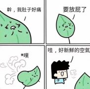 沙雕趣图34，笑不活了