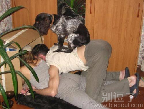 这样和睦的一家“人” 这样和睦的一家“人”