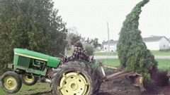 你是挖树还是找抽呢 你是挖树还是找抽呢