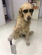 手拿菜刀砍电线，一路火花带闪电！