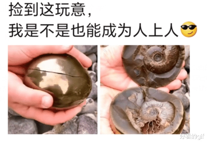 “捡到这玩意,是不是也能成为人上人?”哈哈哈走了啥狗屎运 “捡到这玩意,是不是也能成为人上人?”哈哈哈走了啥狗屎运