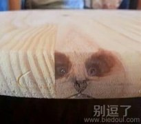 救我出去呀！！！
