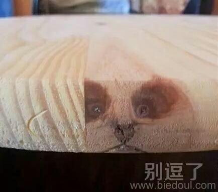 救我出去呀！！！