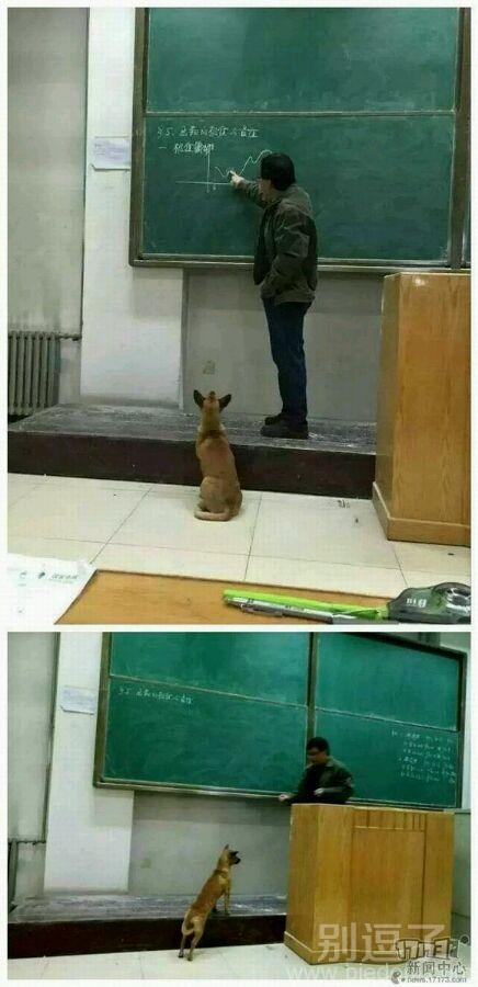 单身狗也是需要上大学滴！