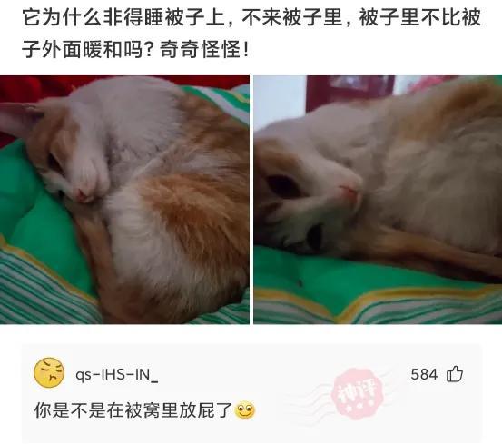 神回复:这键盘要是玩吃鸡,走路都是内八吧 神回复:这键盘要是玩吃鸡,走路都是内八吧