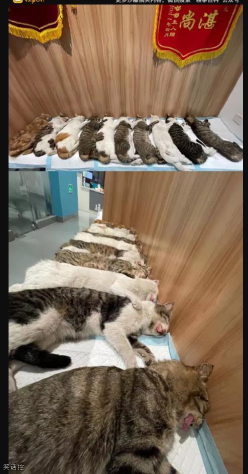 大型敬事房