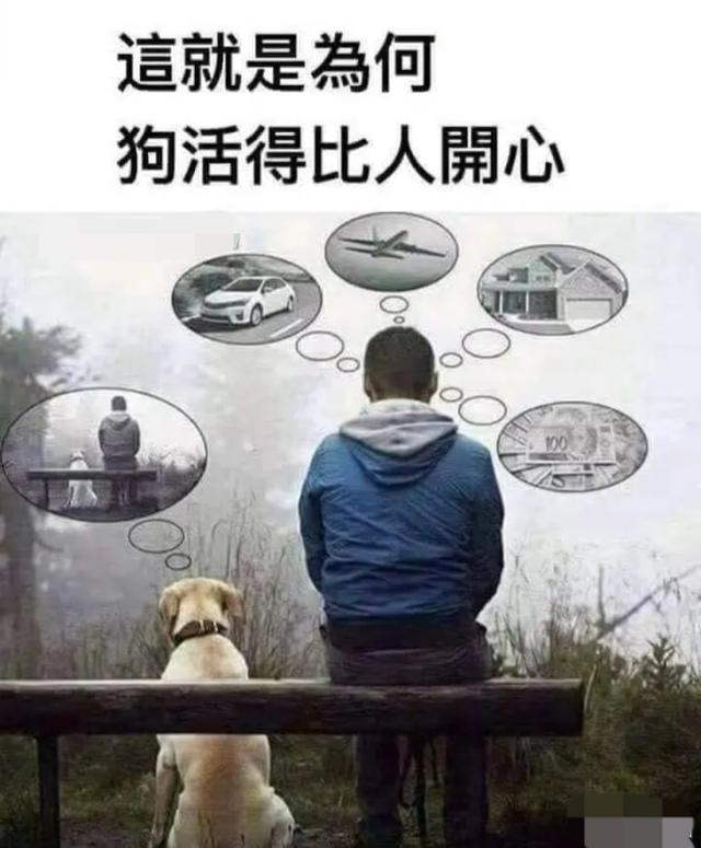 和男朋友住主题酒店,很纳闷浴室里这东西是干啥用的?哈哈哈 和男朋友住主题酒店,很纳闷浴室里这东西是干啥用的?哈哈哈
