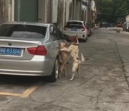 轻松一刻:男人走上坡路的征兆,你中了几条? 轻松一刻:男人走上坡路的征兆,你中了几条?