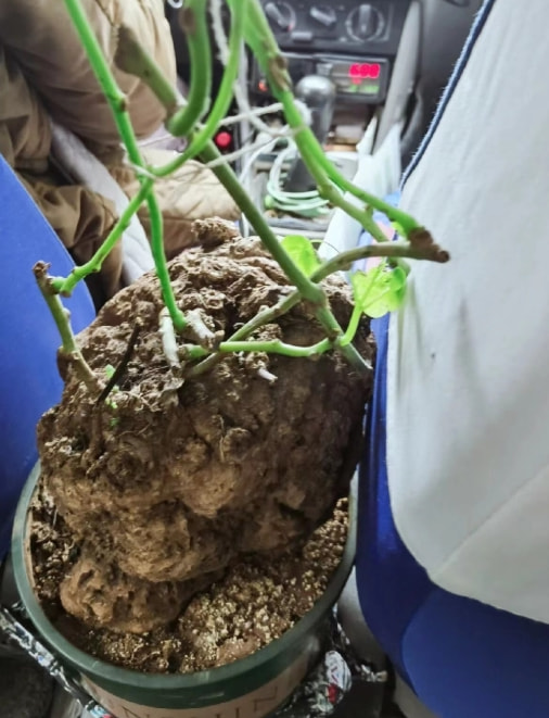 轻松一刻:不怕赛道起飞,就怕猛男穿JK 轻松一刻:不怕赛道起飞,就怕猛男穿JK