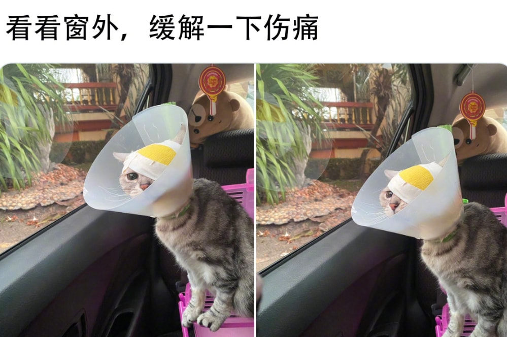 轻松一刻:不怕赛道起飞,就怕猛男穿JK 轻松一刻:不怕赛道起飞,就怕猛男穿JK