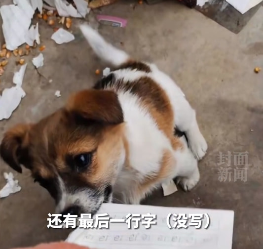 轻松一刻:不怕赛道起飞,就怕猛男穿JK 轻松一刻:不怕赛道起飞,就怕猛男穿JK