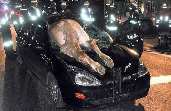 遇到这种情况交警大哥你怎么看 遇到这种情况交警大哥你怎么看