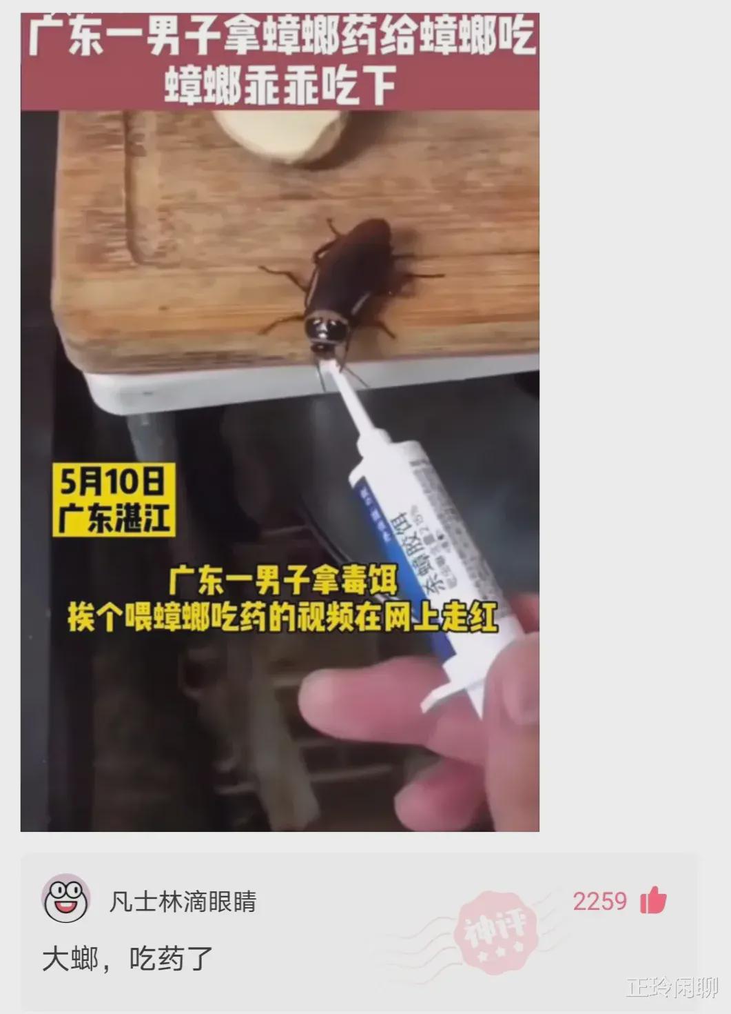 果真撞衫是女生最害怕的事情,右边的妹子已经瑟瑟发抖了 果真撞衫是女生最害怕的事情,右边的妹子已经瑟瑟发抖了
