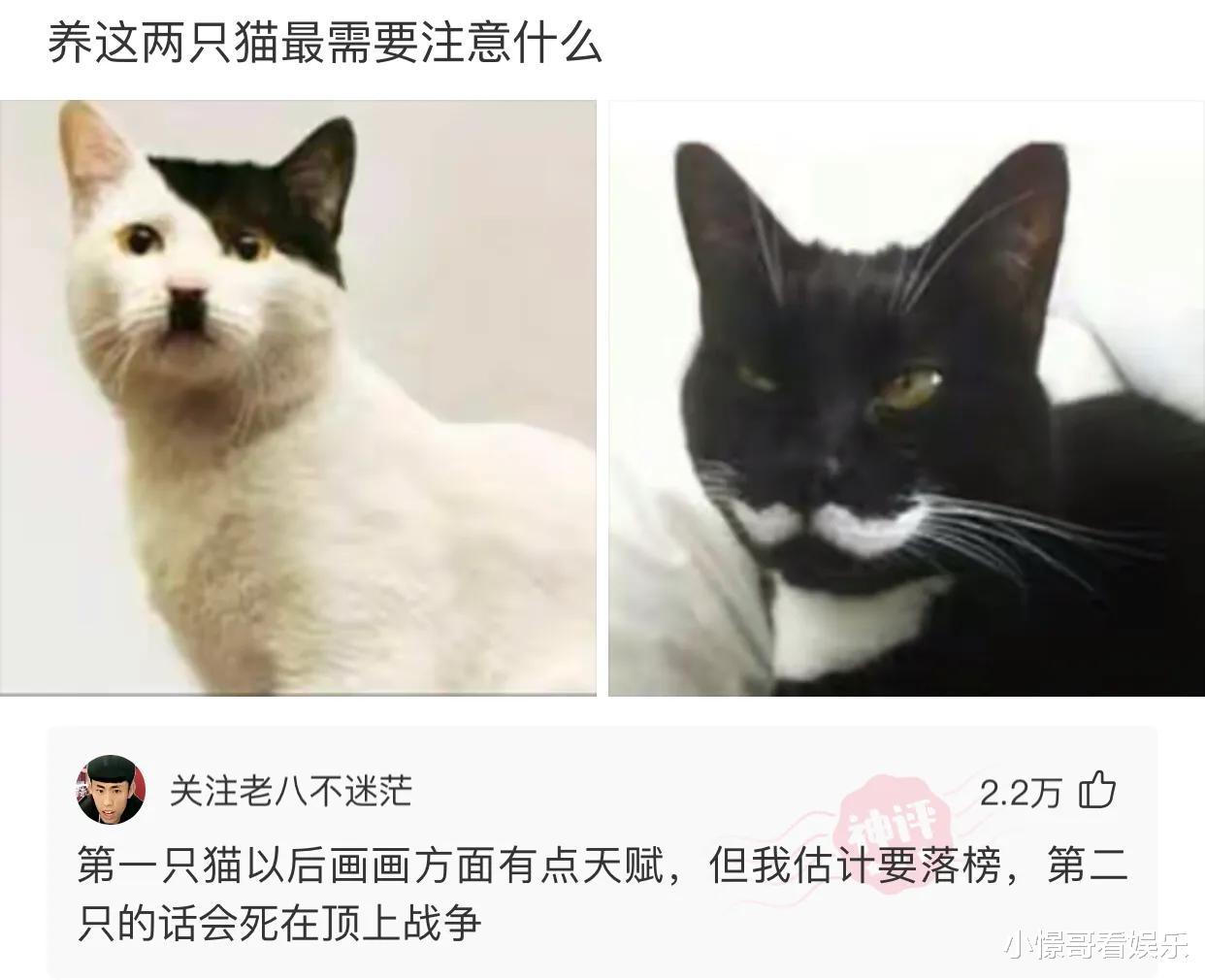 “奶茶店遇到的妹子,我月薪5千能追上吧?”哈哈哈这是要破产的节奏啊 “奶茶店遇到的妹子,我月薪5千能追上吧?”哈哈哈这是要破产的节奏啊