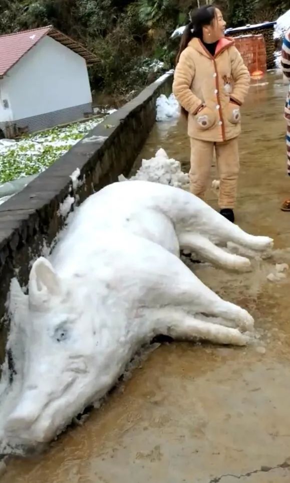 轻松一刻：野小子云雨配佳偶，老员外失慎破鸳鸯？