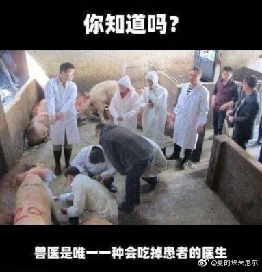 轻松一刻:野小子云雨配佳偶,老员外失慎破鸳鸯? 轻松一刻:野小子云雨配佳偶,老员外失慎破鸳鸯?