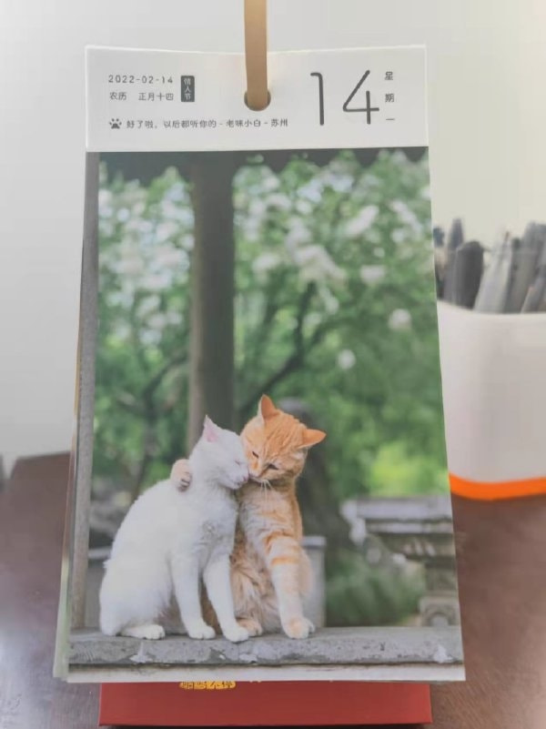轻松一刻:要想挨着女神睡,玫瑰你就别嫌贵 轻松一刻:要想挨着女神睡,玫瑰你就别嫌贵