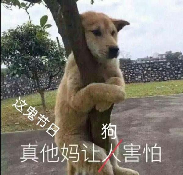 轻松一刻:要想挨着女神睡,玫瑰你就别嫌贵 轻松一刻:要想挨着女神睡,玫瑰你就别嫌贵