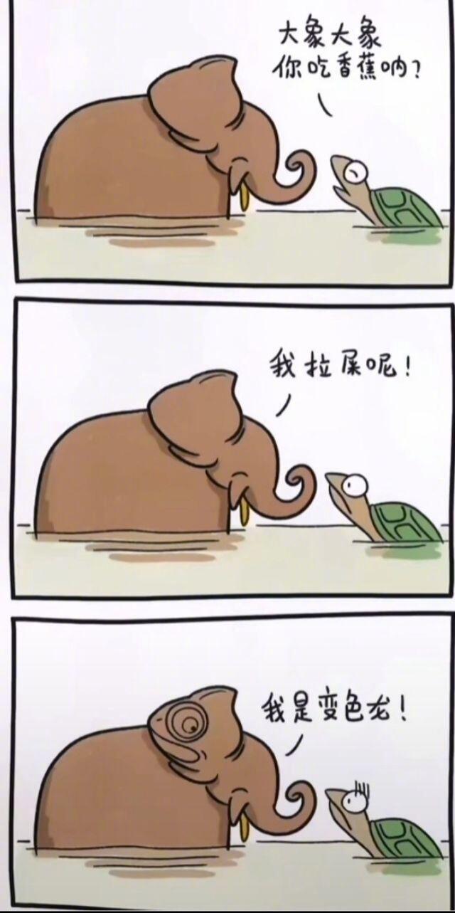 轻松一刻:要想挨着女神睡,玫瑰你就别嫌贵 轻松一刻:要想挨着女神睡,玫瑰你就别嫌贵