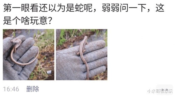 “看第一眼还以为是蛇呢!哈哈哈在你们那,都管这玩意叫啥?” “看第一眼还以为是蛇呢!哈哈哈在你们那,都管这玩意叫啥?”