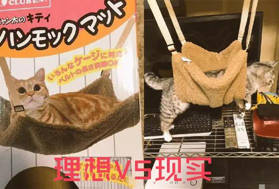 理想与现实!卖家秀与买家秀 理想与现实!卖家秀与买家秀