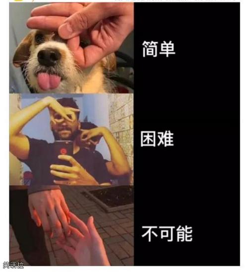 被内涵了 被内涵了