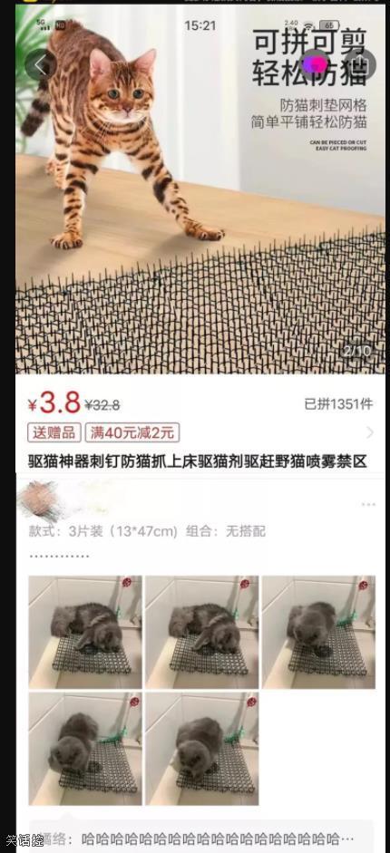 猫:真舒服! 猫:真舒服!