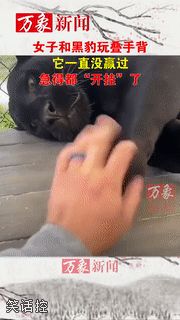 该死的压迫感 该死的压迫感