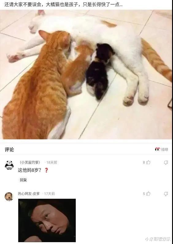 “朋友让我进门脱鞋,出门就这样了!”哈哈哈,这是家里有矿吗? “朋友让我进门脱鞋,出门就这样了!”哈哈哈,这是家里有矿吗?