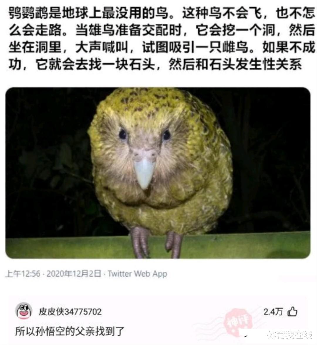 “为什么道士瘦骨如柴，而和尚却肥头大耳？”神评绝了，哈哈哈