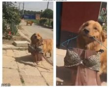 我怎么跟女邻居解释