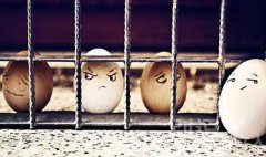 闹撒,关你们撒! 闹撒,关你们撒!