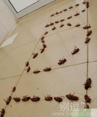 曾经有一个男生这样向心仪的女生表白 曾经有一个男生这样向心仪的女生表白