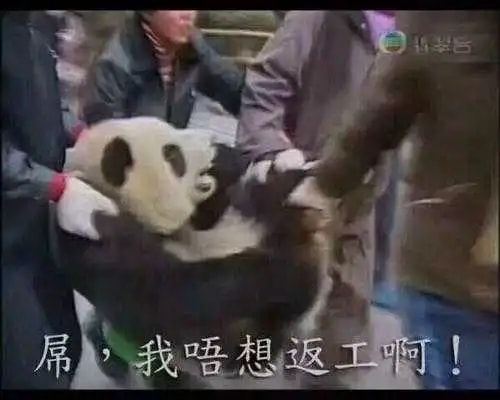 轻松一刻:哎!老牛吃嫩草,富婆吃男馍! 轻松一刻:哎!老牛吃嫩草,富婆吃男馍!