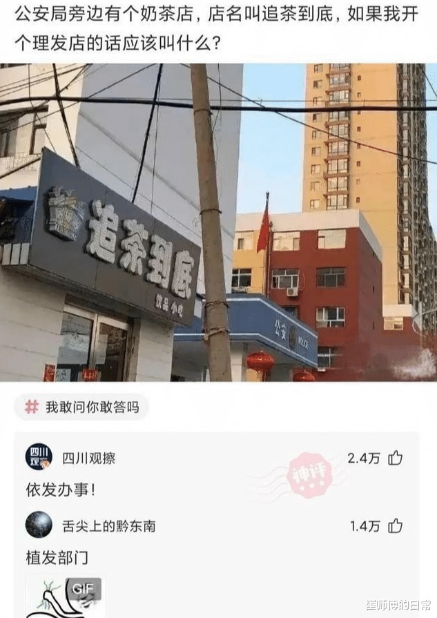 “和三个姑娘合租了一年，然后是这个样子的”这都掉秃了？