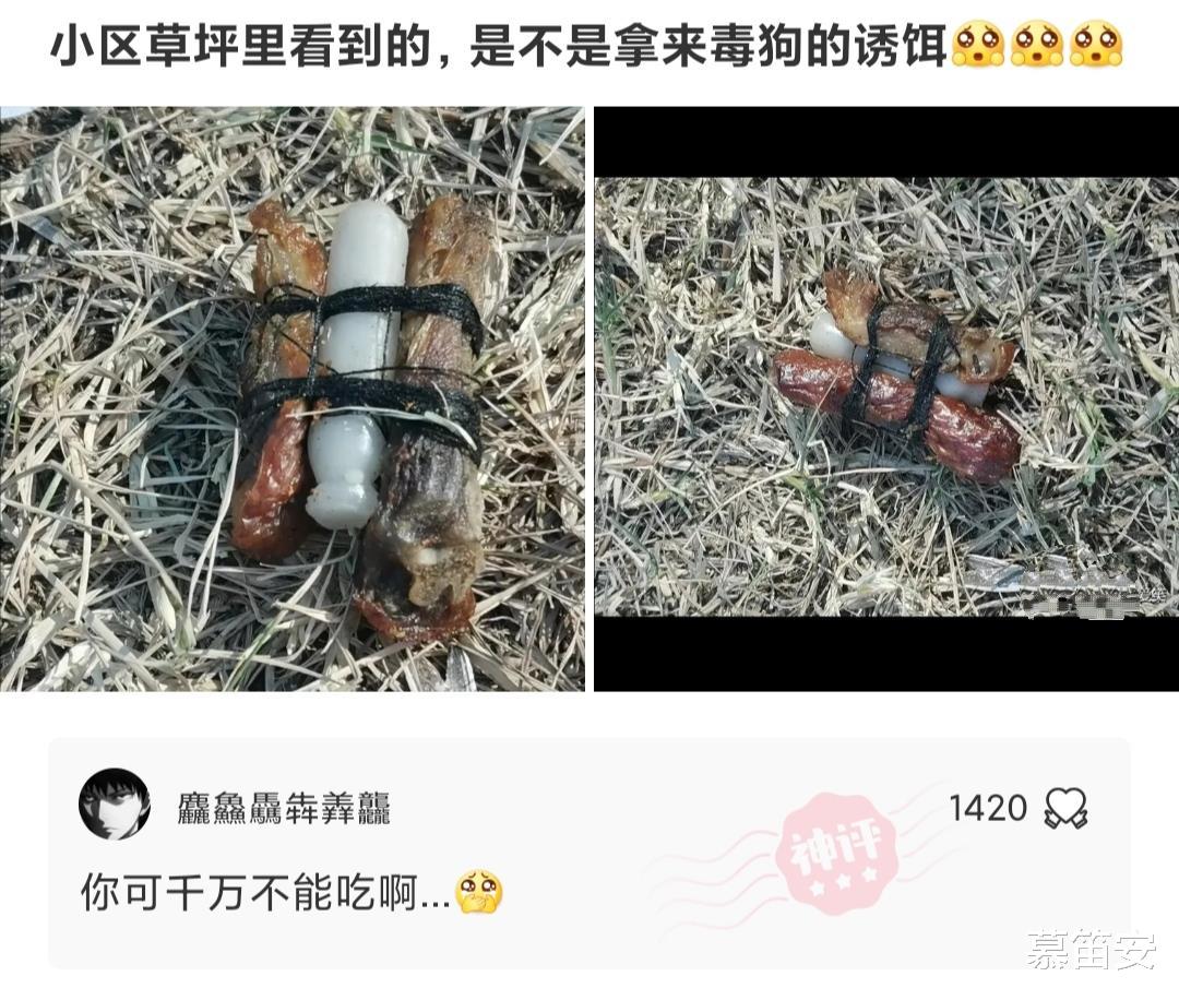 神回复:什么事是你交了女朋友才知道的? 神回复:什么事是你交了女朋友才知道的?