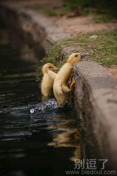 加油 加油!就差一点啦 加油 加油!就差一点啦