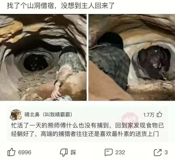 “从老房子的栋梁上掉下来的,应该能换一套海景房吧?”哈哈哈 “从老房子的栋梁上掉下来的,应该能换一套海景房吧?”哈哈哈