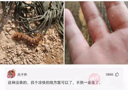 “从老房子的栋梁上掉下来的,应该能换一套海景房吧?”哈哈哈 “从老房子的栋梁上掉下来的,应该能换一套海景房吧?”哈哈哈