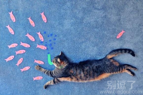 好多好多鱼，吃不完啦