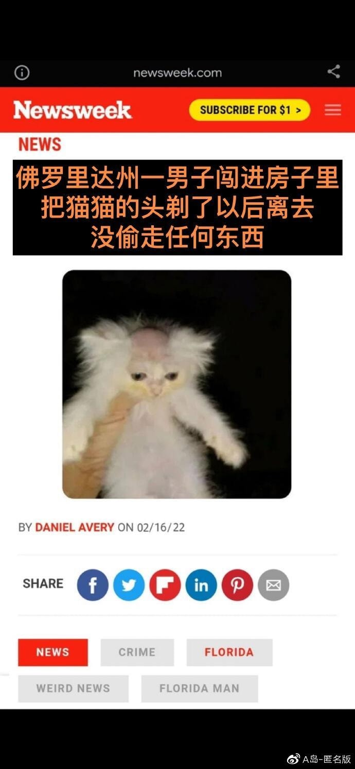 轻松一刻:你摸过凌晨三点的电瓶车么?小偷摸过 轻松一刻:你摸过凌晨三点的电瓶车么?小偷摸过