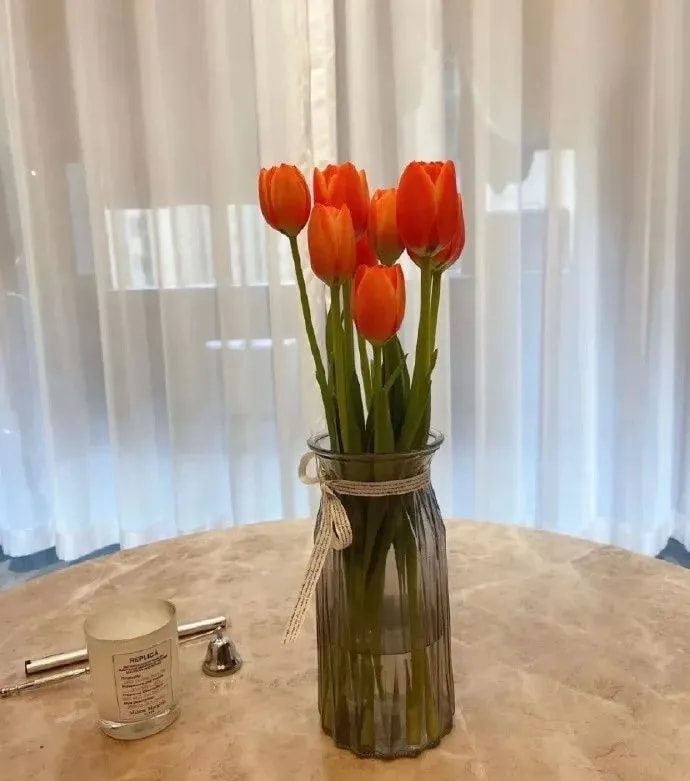 轻松一刻:你摸过凌晨三点的电瓶车么?小偷摸过 轻松一刻:你摸过凌晨三点的电瓶车么?小偷摸过